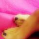 Piedi Piedi