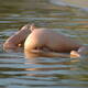 spiaggiata...3 spiaggiata...3
