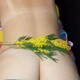 Nuda con mimose Nuda con mimose