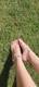 Feet on grass